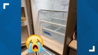 Harbor Humane Society asks community for help after fridge storing vaccines breaks