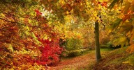 UK's 'best autumn walking destination' is just a stone's throw from Bristol
