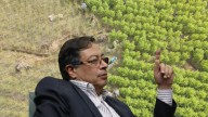Los errores en la política de drogas del gobierno Petro que le costaron la descertificación condicionada a Colombia
