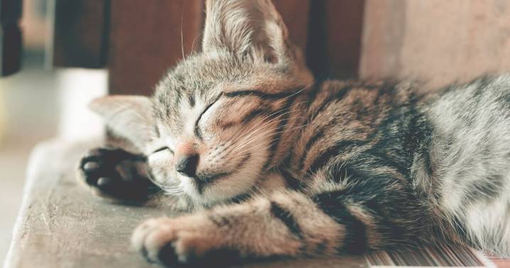 Dormir en frío: cómo la temperatura del dormitorio mejora el sueño y la salud