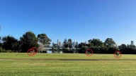 Battle to remove tiny trees after South Perth residents claim ‘multimillion