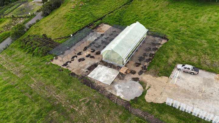 Cundinamarca: CAR invierte $9.000 millones en una red de 47 viveros para producción forestal y educación ambiental