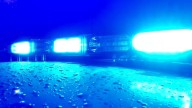Car crash kills cow, suspect at large in Barren County