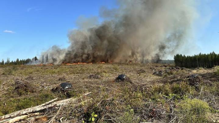 Despite weekend rain, Washington's wildfire season persists