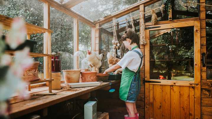 'Couldn't Be Happier': Homeowner Shares Inspiring Backyard Shed Transformation