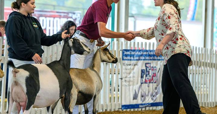 Youths show their goats at Great Frederick Fair