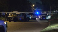 Lakewood Forest Drive: Man found shot dead in the road