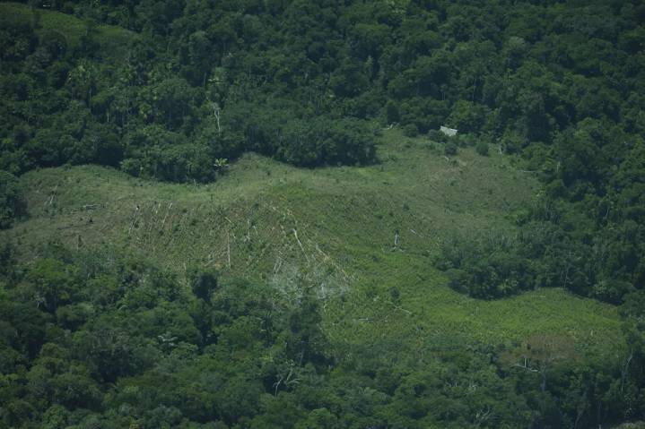 Fueron asesinados 120 ambientalistas en Latinoamérica el año pasado: Informe
