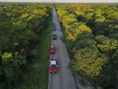 Encuentran con vida a adulto mayor reportada como desaparecida en Dzilam González