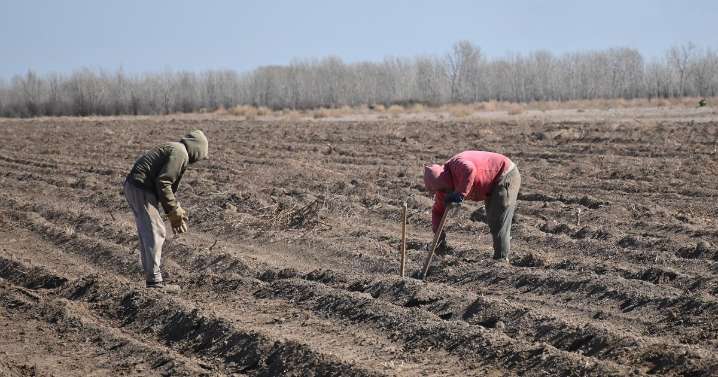 Lo que hay que saber del desmonte en el Valle Medio del río Negro