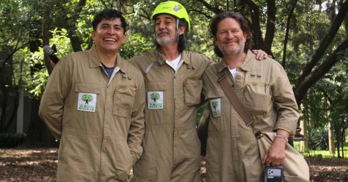 Va por los Árboles: el movimiento ciudadano que busca reconciliar a la CDMX con su infraestructura verde