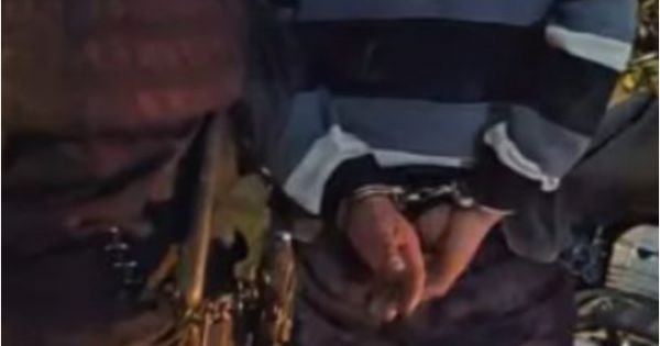 Conmoción: norteño le hizo lo peor a un animal y quedó detenido