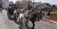 Los enganches se ponen a prueba por las calles de Ronda