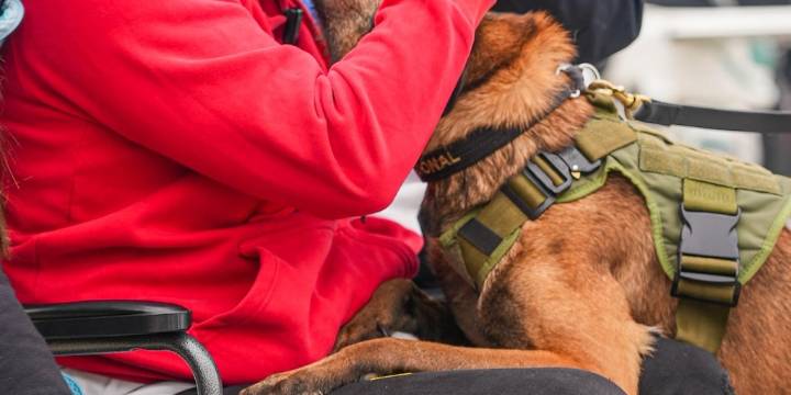 Sobrevivieron al ataque del ELN al helicóptero de la Policía en Amalfi: así fue el conmovedor reencuentro del patrullero Herrera y su perro Telmo