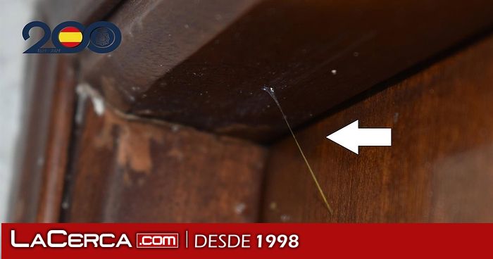Desmantelado un entramado criminal que robó en viviendas de Albacete mediante la técnica del hilo invisible
