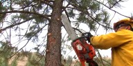 Youth at Oregon correctional facility help fight wildfires and find careers