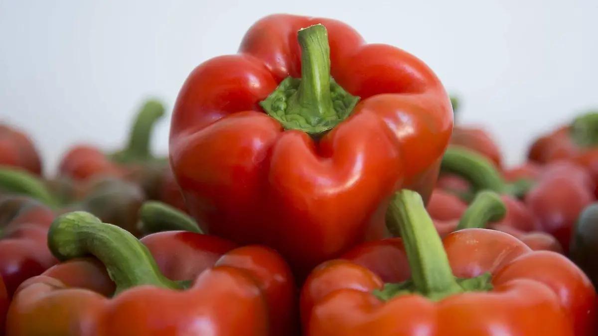 Pimiento morrón de Guanajuato conquista el mercado japonés