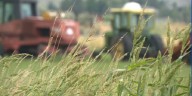Nevada farmers to lose millions in federal funding