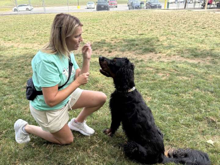 How Butler County dog owners are balancing exercise and social interaction