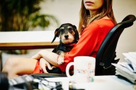 Woman Who Doesn't Like Dogs Has Second Thoughts About Dog