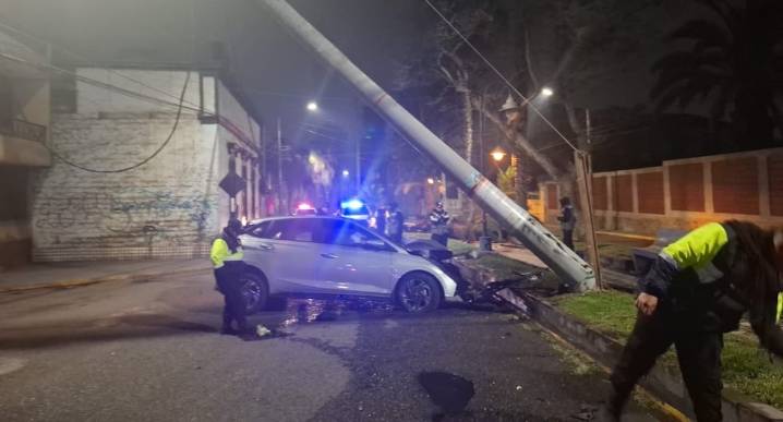 Tacna: Auto derriba árbol y poste con perjuicio a usuarios de empresa eléctrica