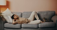 8 Best Sofas For Pet Owners: Comfort, Durability, and Style