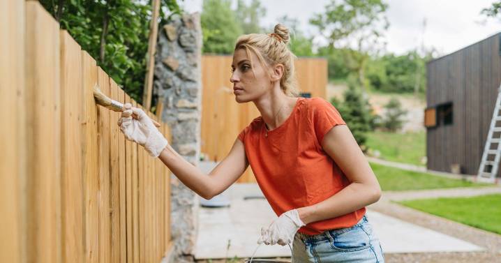 Painting your garden fence could be classed as criminal damage