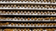Louisville Slugger proves its more than a bat