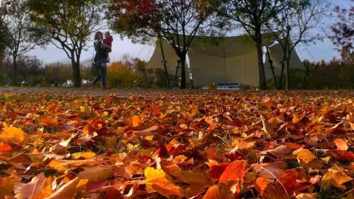 When is fall? Seasonal change in California may take time