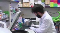 CURE Program inspires next generation of cancer researchers