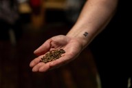 Morning Mugs to close in Locust Point: "not what we planned"