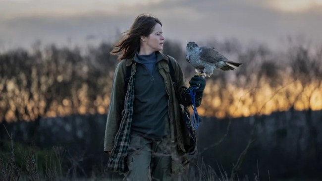 H Is for Hawk Review: Claire Foy Stars in Helen MacDonald Adaptation