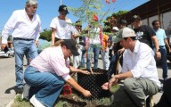 Árboles fuertes y una Mérida más verde gracias a una nueva manera de plantar: Cecilia Patrón.