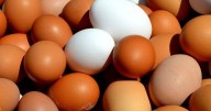 Se reveló el misterio: esta es la diferencia entre los huevos de cáscara blanca y cáscara marrón y este es el más saludable