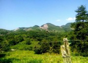 Desaparece la selva huasteca
