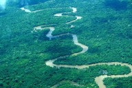 Crean la Reserva Comunal Bajo Putumayo Yaguas en Loreto con más de 160 mil hectáreas de conservación