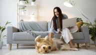 Influencia del crecimiento del mercado enfocado en mascotas en Puntos Colombia
