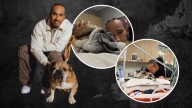 Lewis Hamilton publica emotivas fotos de su perrito en coma y al borde de la muerte