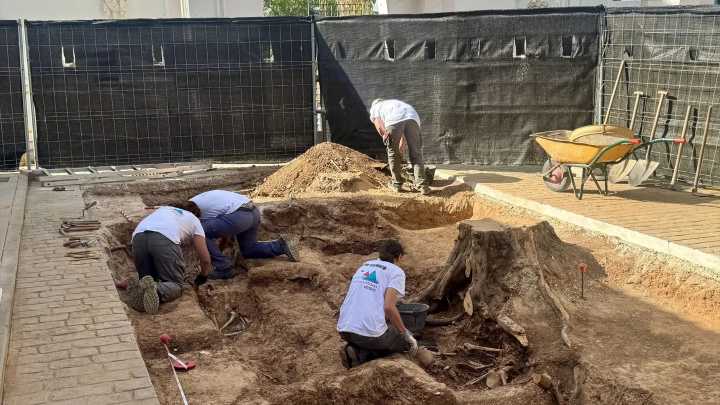 Recuperan los restos de 73 víctimas de la Guerra Civil de una fosa común en Málaga