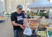 Gaztainak eta arto opila hasita, udazkena ate joka da