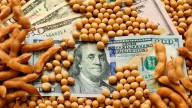 Arca cerró la registración del cupo de US$7.000 millones previsto por el decreto 682/2025