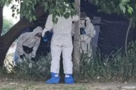 Macabro hallazgo: acusado de abusar a su nieta fue hallado muerto en una cancha de fútbol