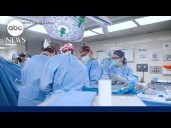 Pig kidney transplants to be expanded for humans