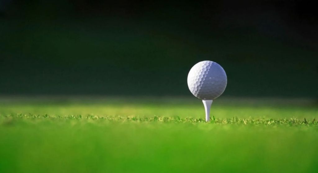 High Schools: Consistent Smyth leads O’Hara to win