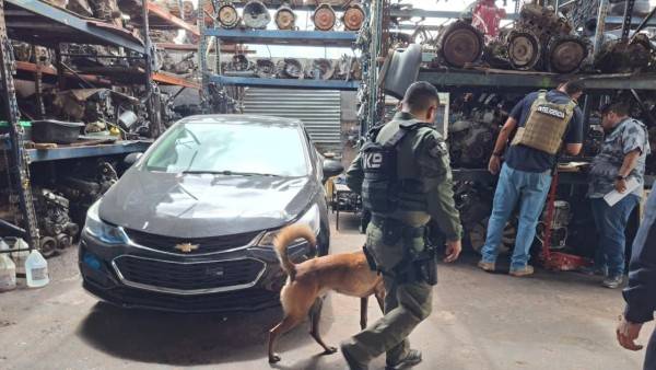 Catean Yonques en busca de vehículos robados y sustancias peligrosas