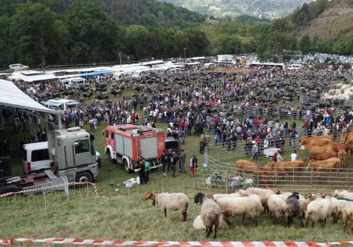 Récord de ganado en la gran feria de San Miguel de Rionansa