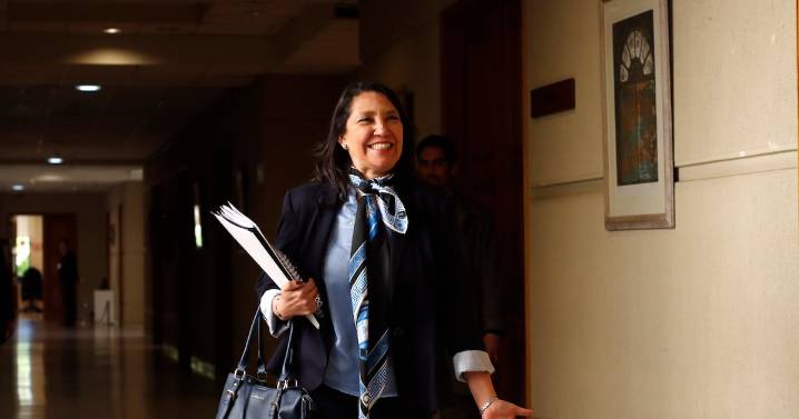 Voto obligatorio: Lobos logra amarrar acuerdo en el Senado para reponer multa y limitar sufragio extranjero