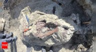 New dinosaur species ‘Megaraptoran’ discovered in Argentina with ancient crocodile bone in its jaws