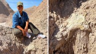 Rare ‘ancient beast’ fossil discovered by CNN anchor in South Dakota