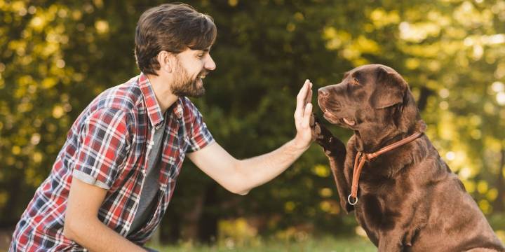 Los siete rasgos que la psicología identifica en quienes conversan con sus mascotas como si fueran personas y las razones detrás de este hábito